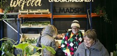 wefood-3